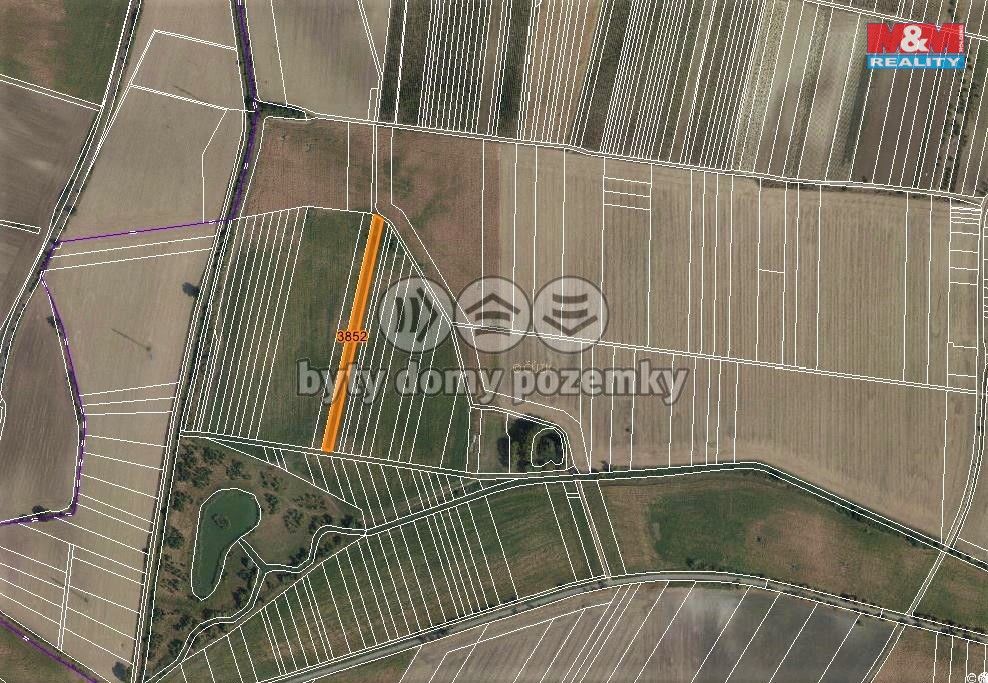 mapka
