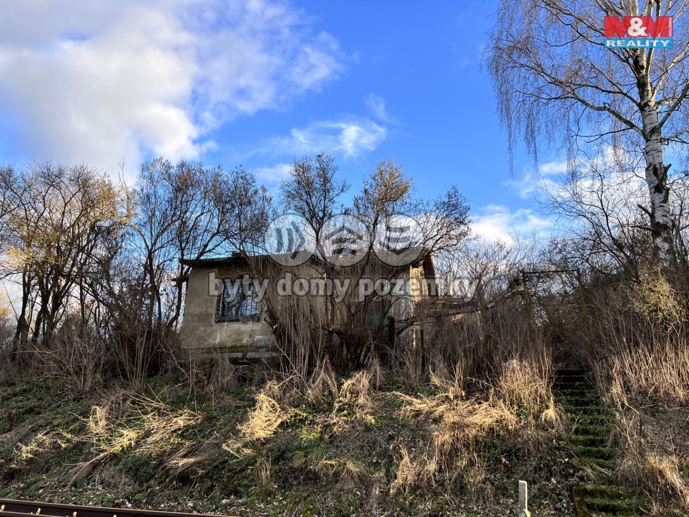 IMG_1964.jpeg