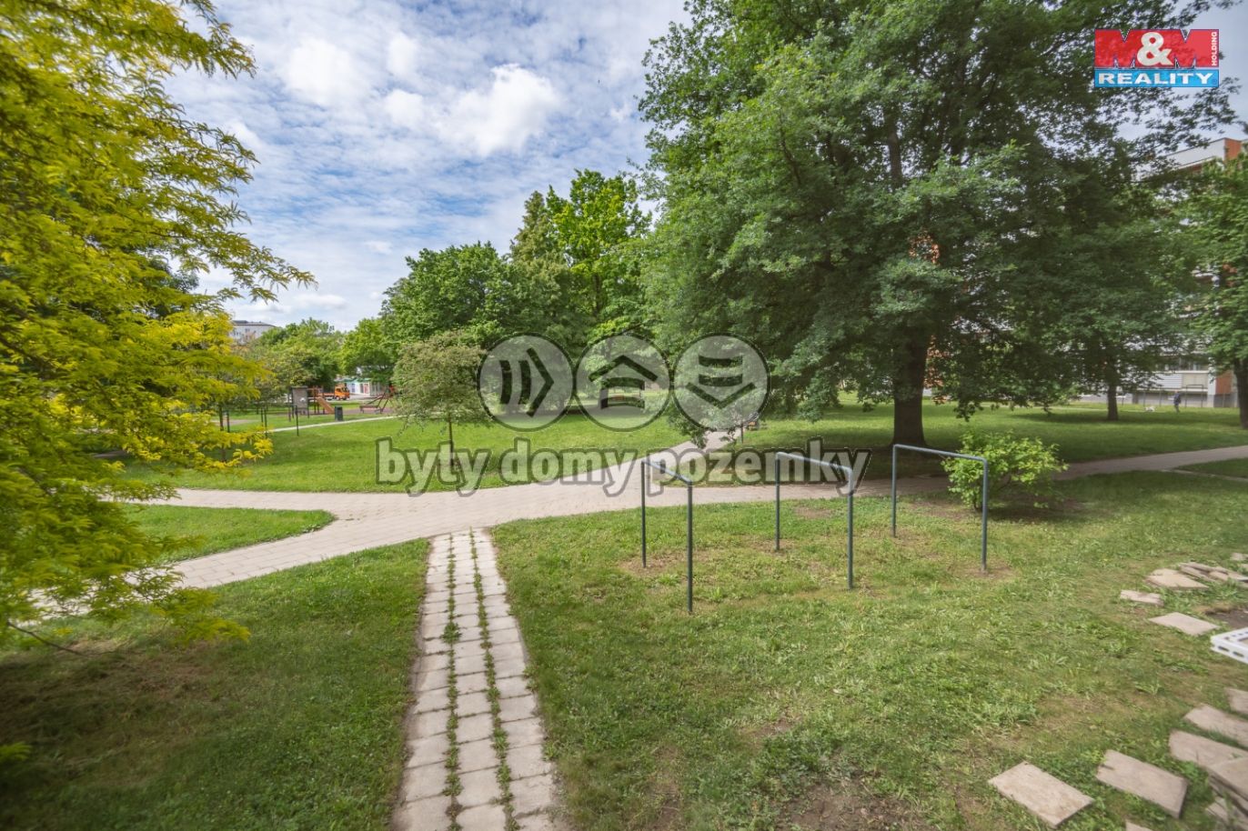 d85-2739.jpg