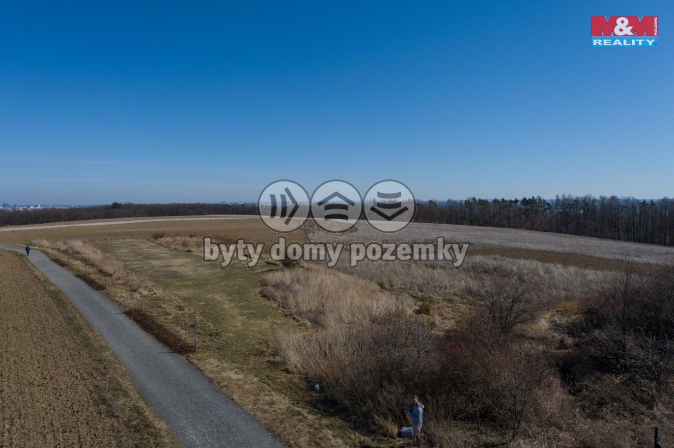 DJI_0130.jpg