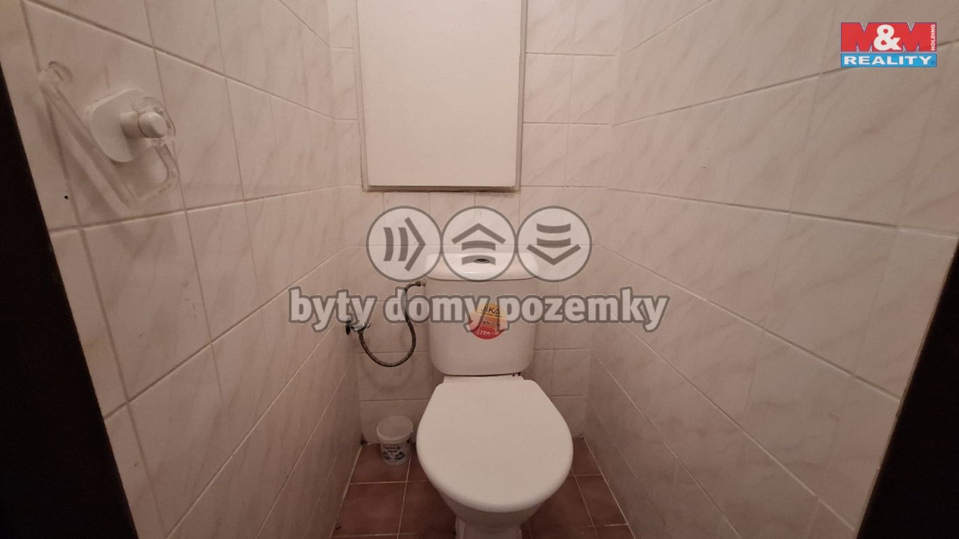 20250613_125553.jpg