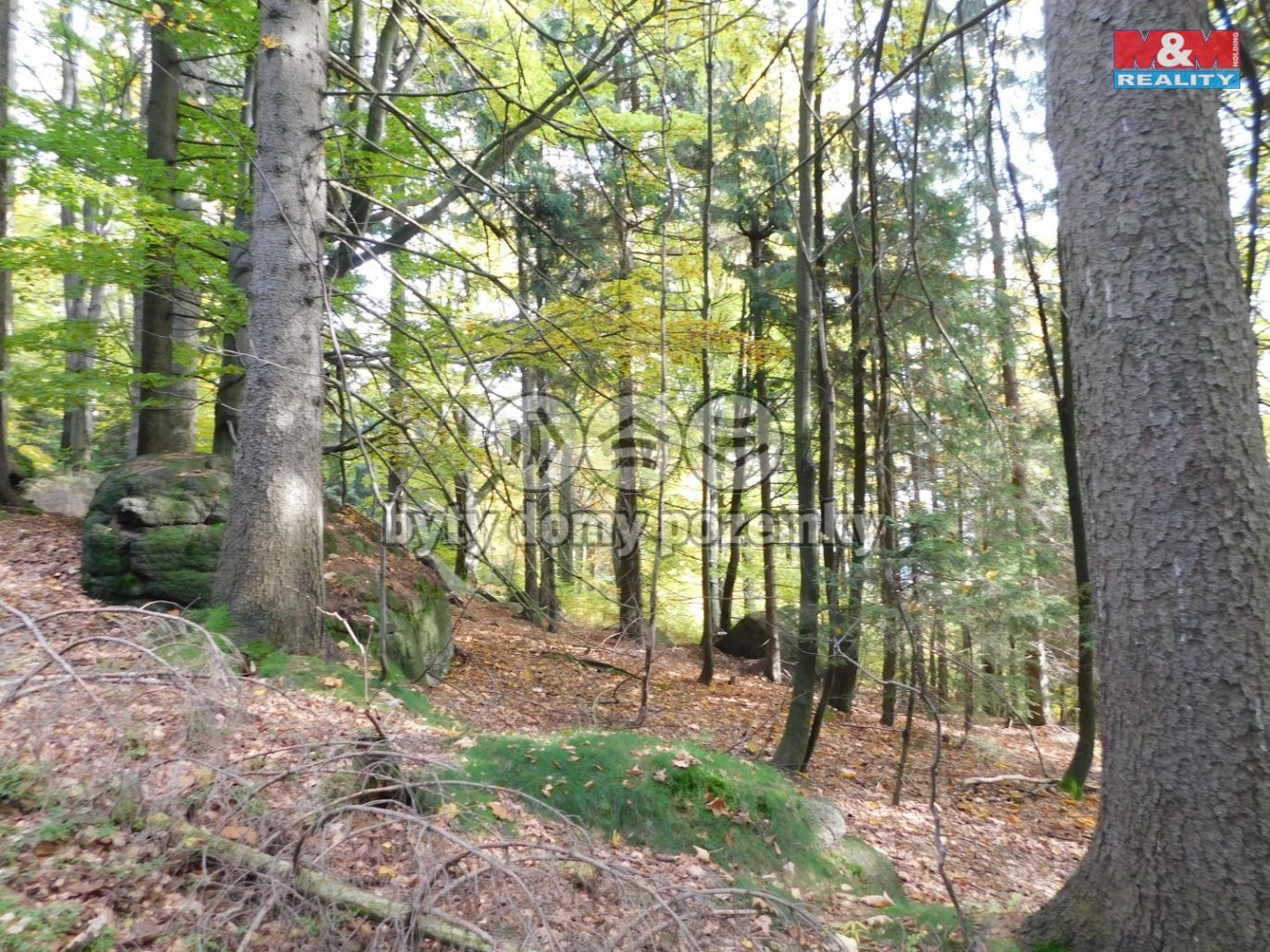 DSCN3768.jpg