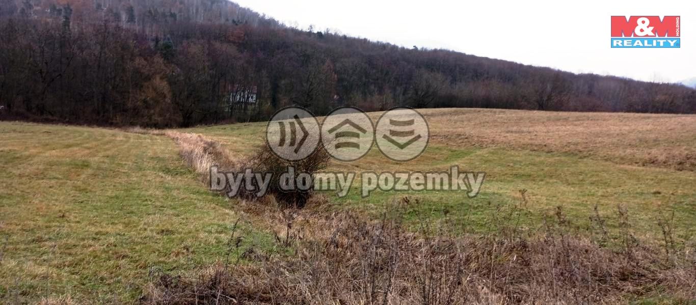 tře2.jpg