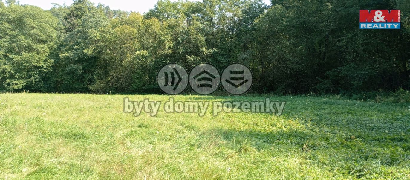 louka20.jpg