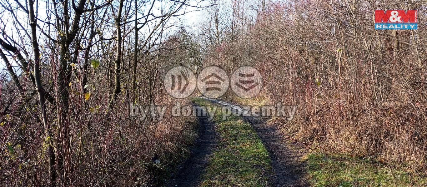 lovo9.jpg