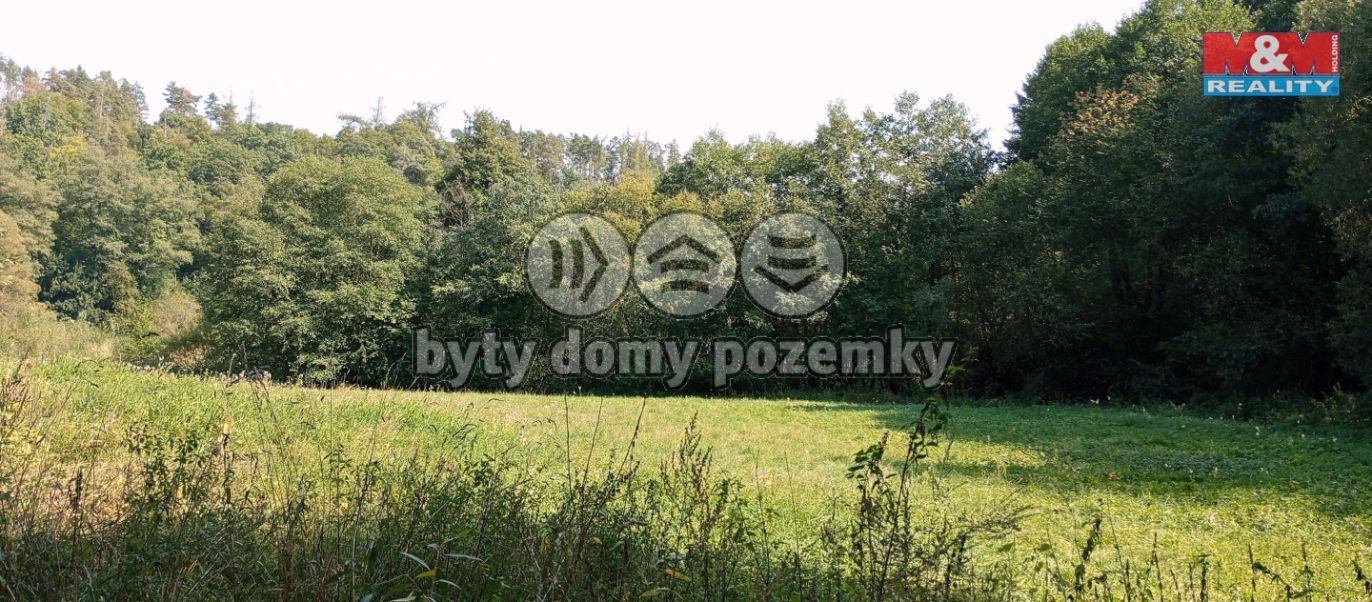 louka9.jpg