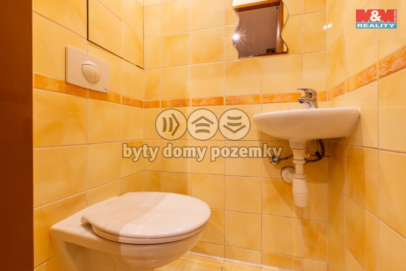Realitni╠ü fotografie - Louny - Kla╠üra Pr╠îibi╠ükova╠ü - 16.jpg