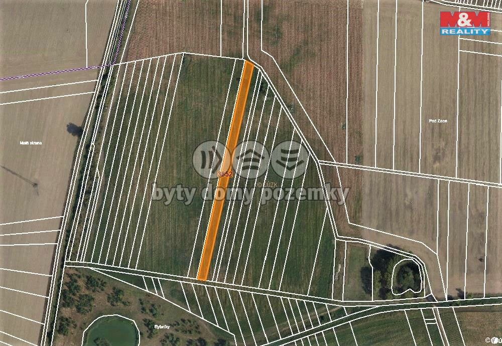 mapka