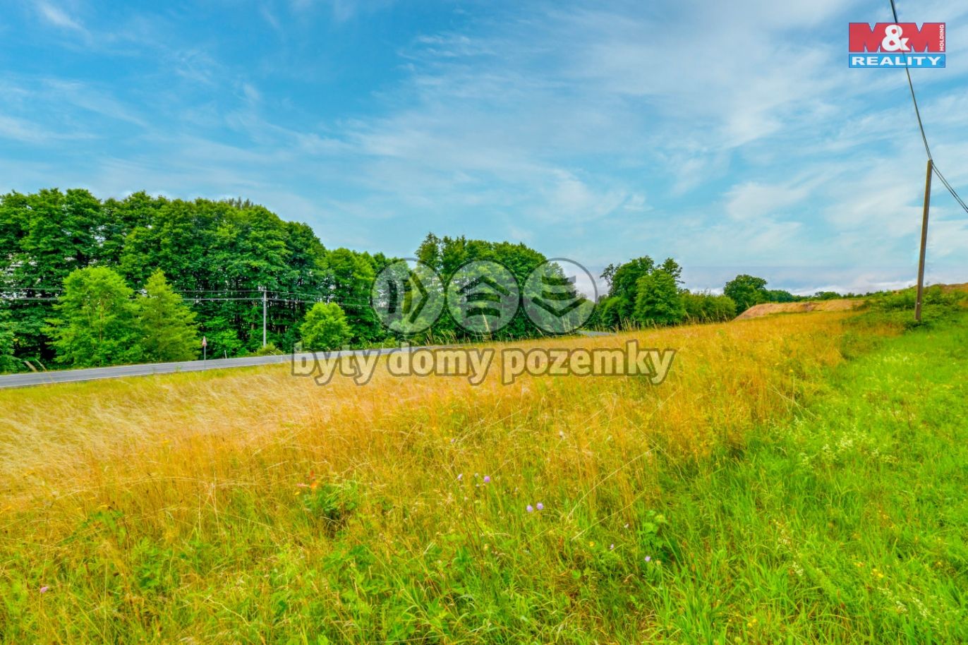 DSC_5617_3.jpg