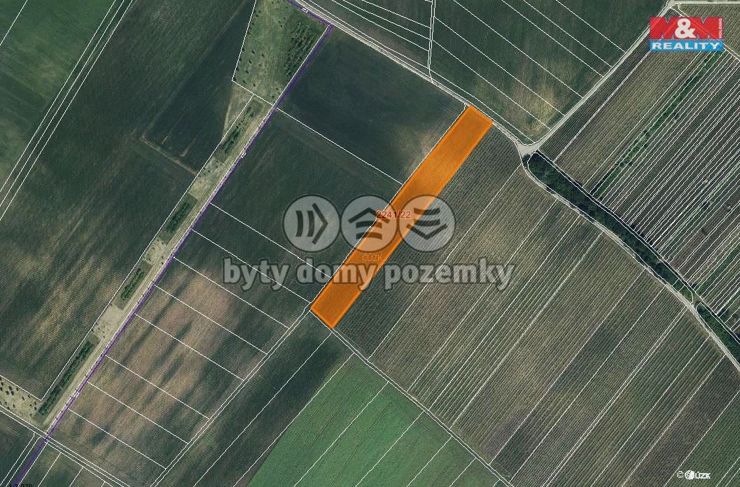 mapka