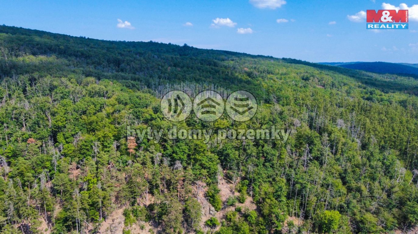 dji_fly_20240829_140754_888_1724935502403_photo_optimized.jpg
