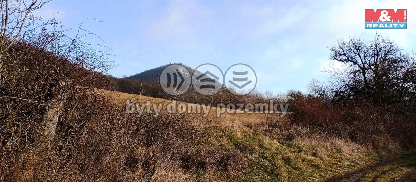 lovo5.jpg