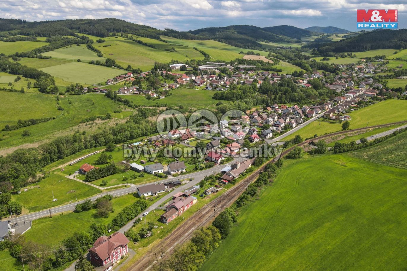 zhora3.jpg