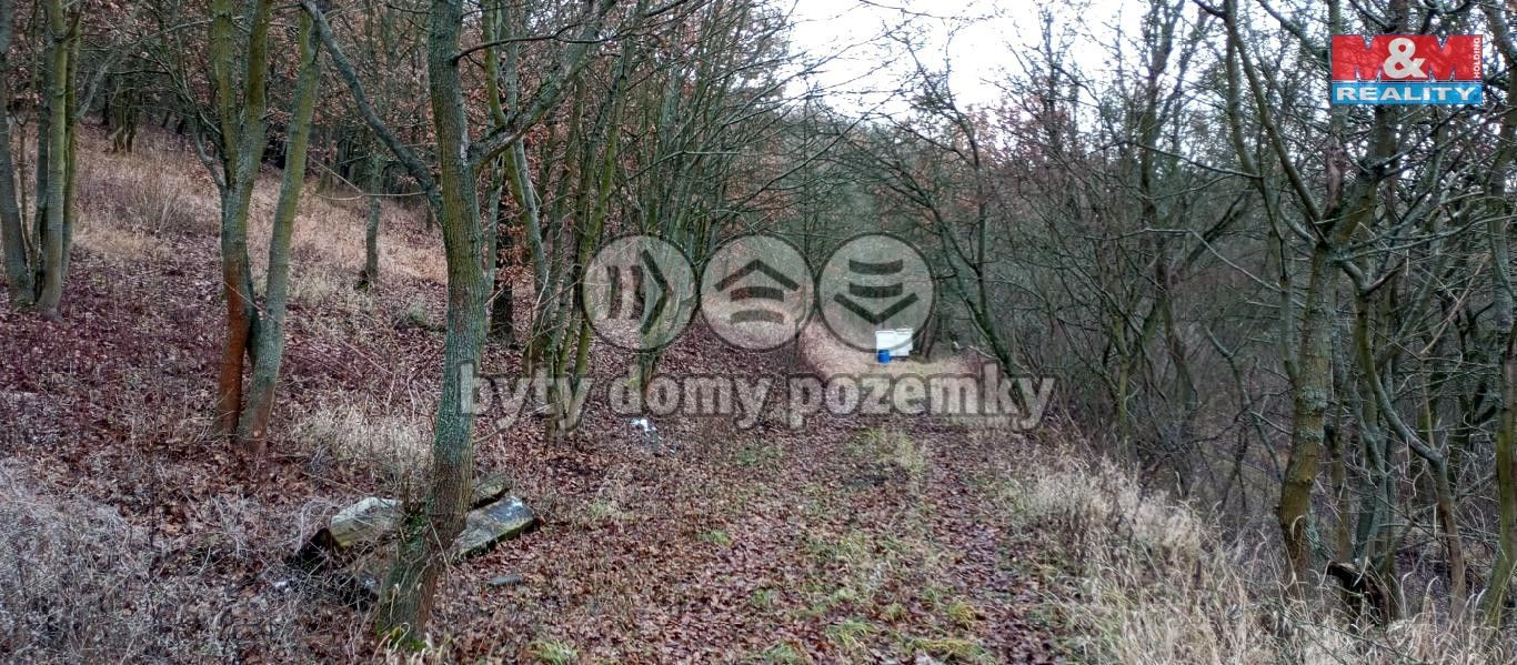 lovo78.jpg