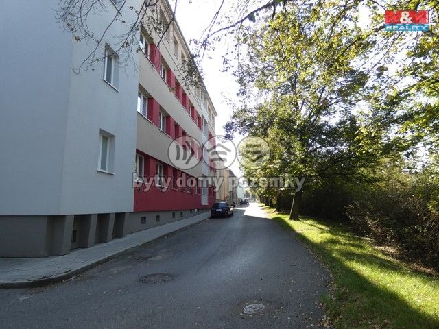 P1130761.jpg
