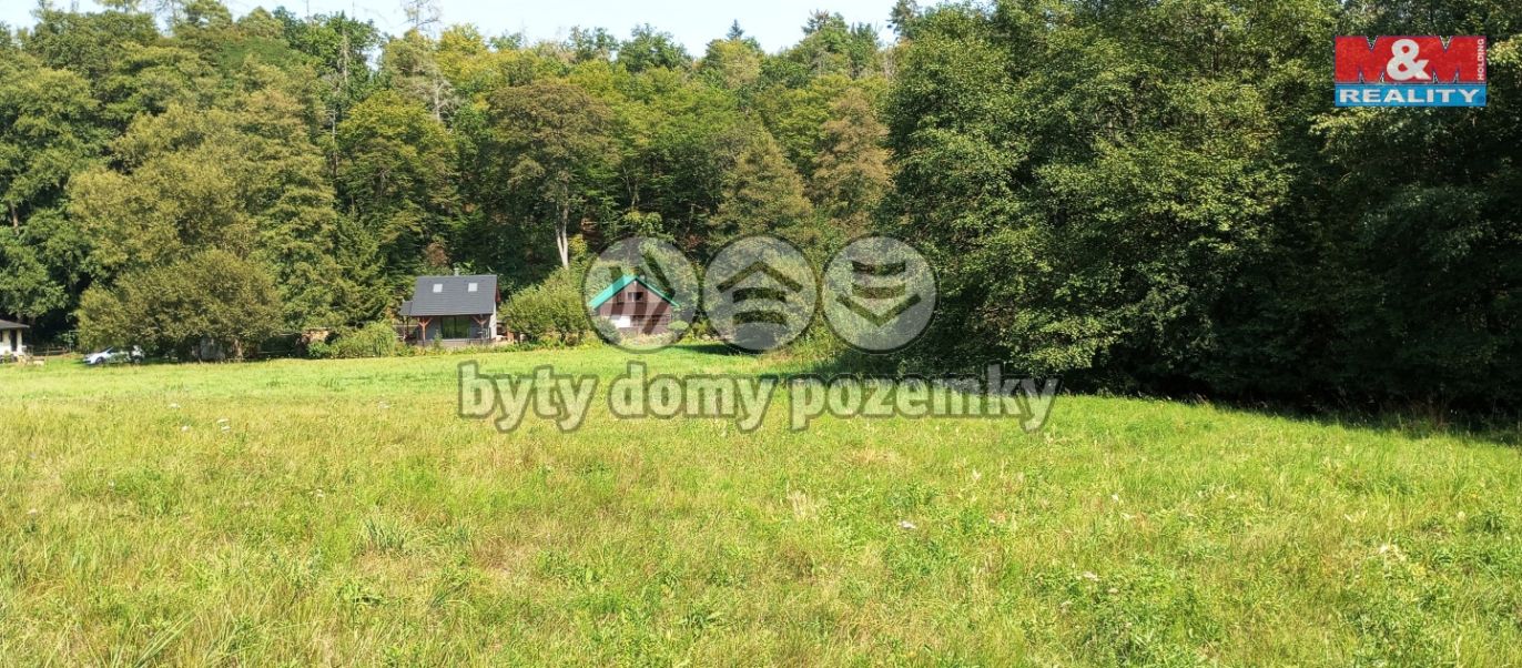 louka25.jpg