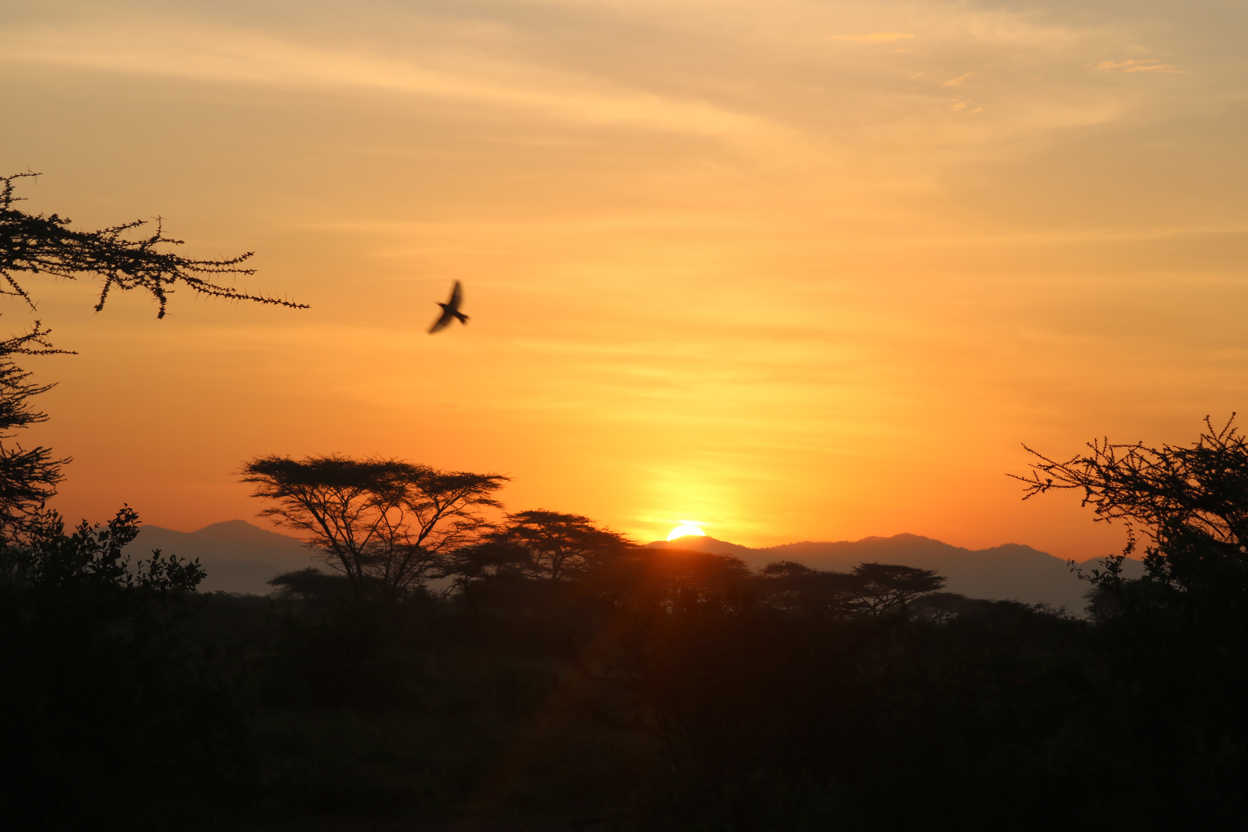 1 Day Kigali City Walking tour
