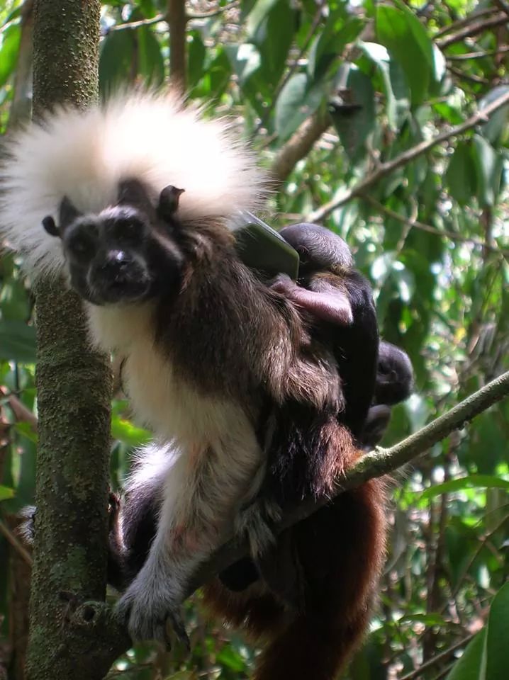 Semuliki National Park