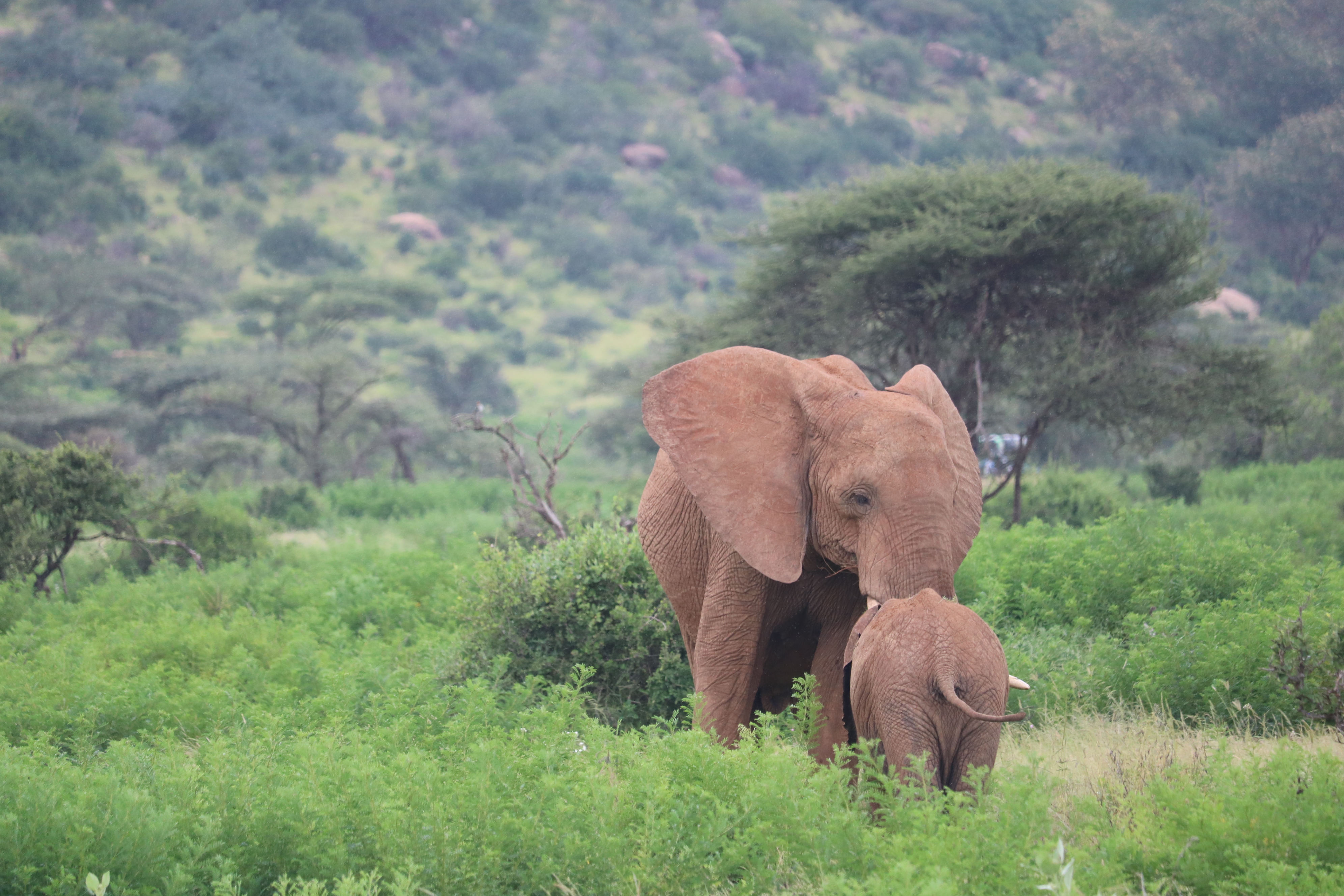 Aberdare National Park safari destination
