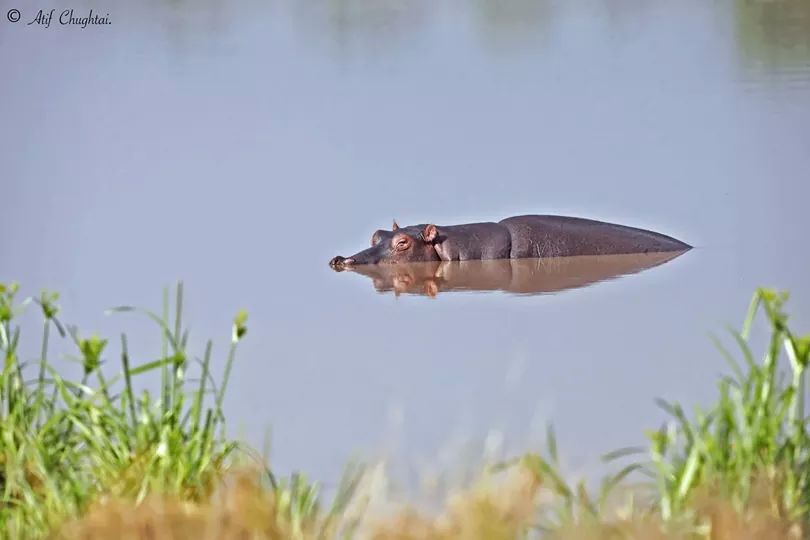 Lake Naivasha safari destination