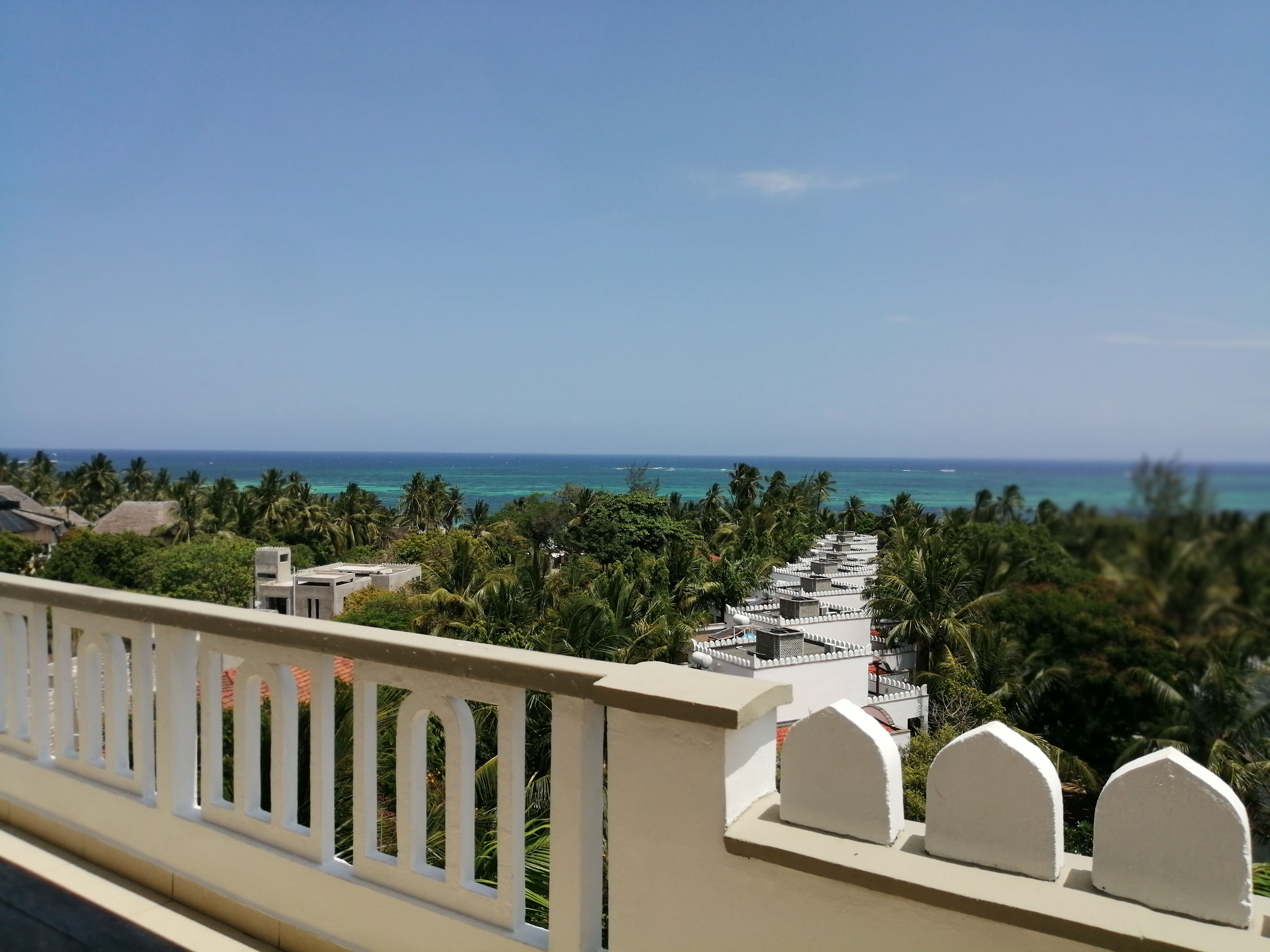 Diani Beach safari destination