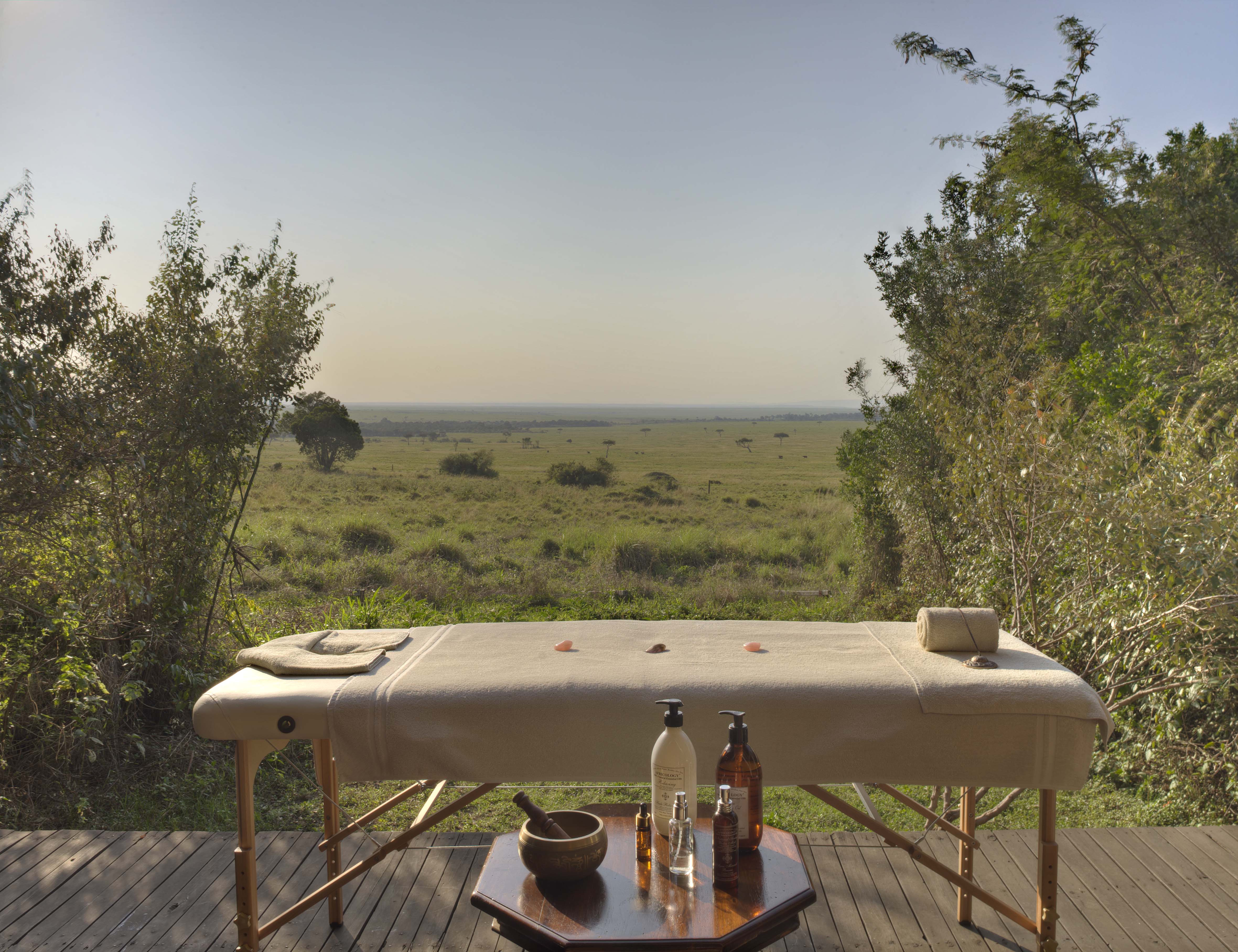 Maasai Mara scene 5