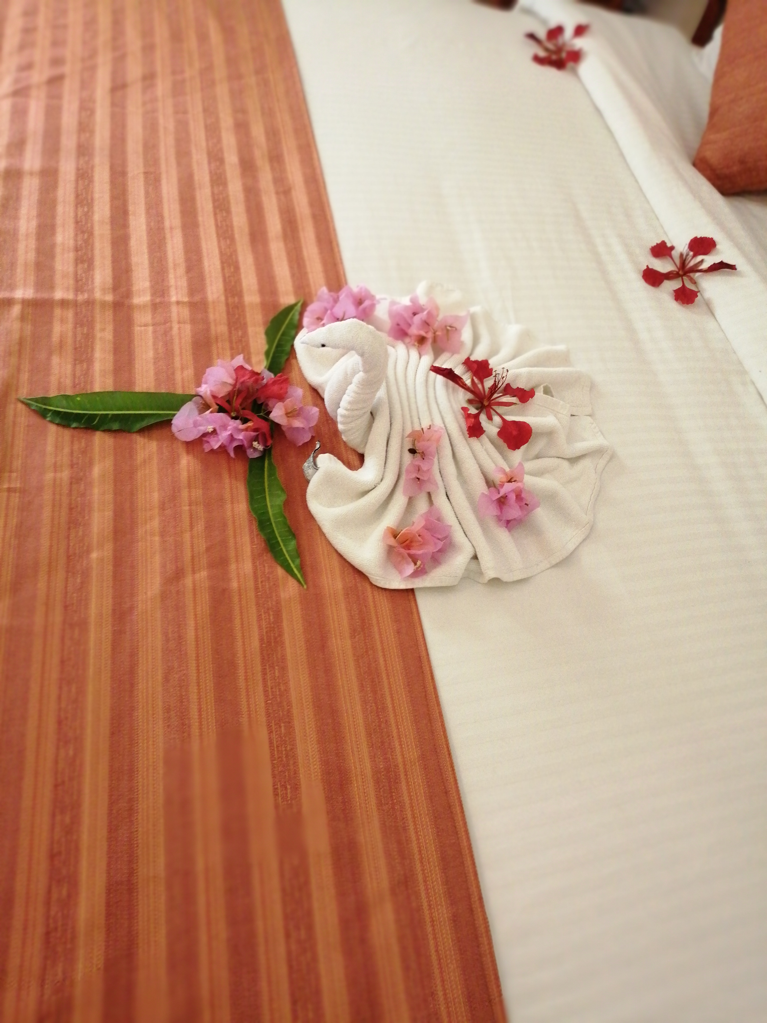 Diani Beach scene 3