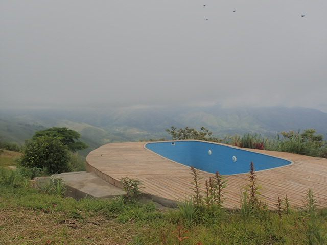 Bwindi Impenetrable Forest