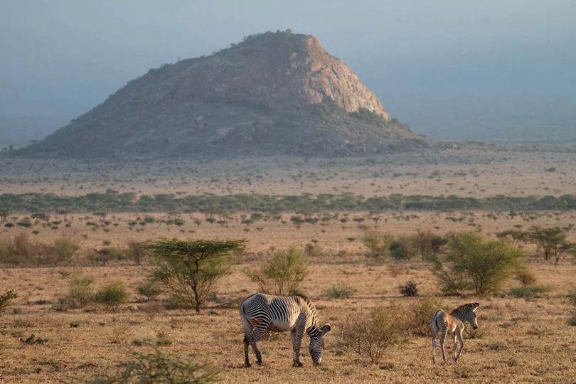 3 Days/2 Nights of Samburu Safari experience 3