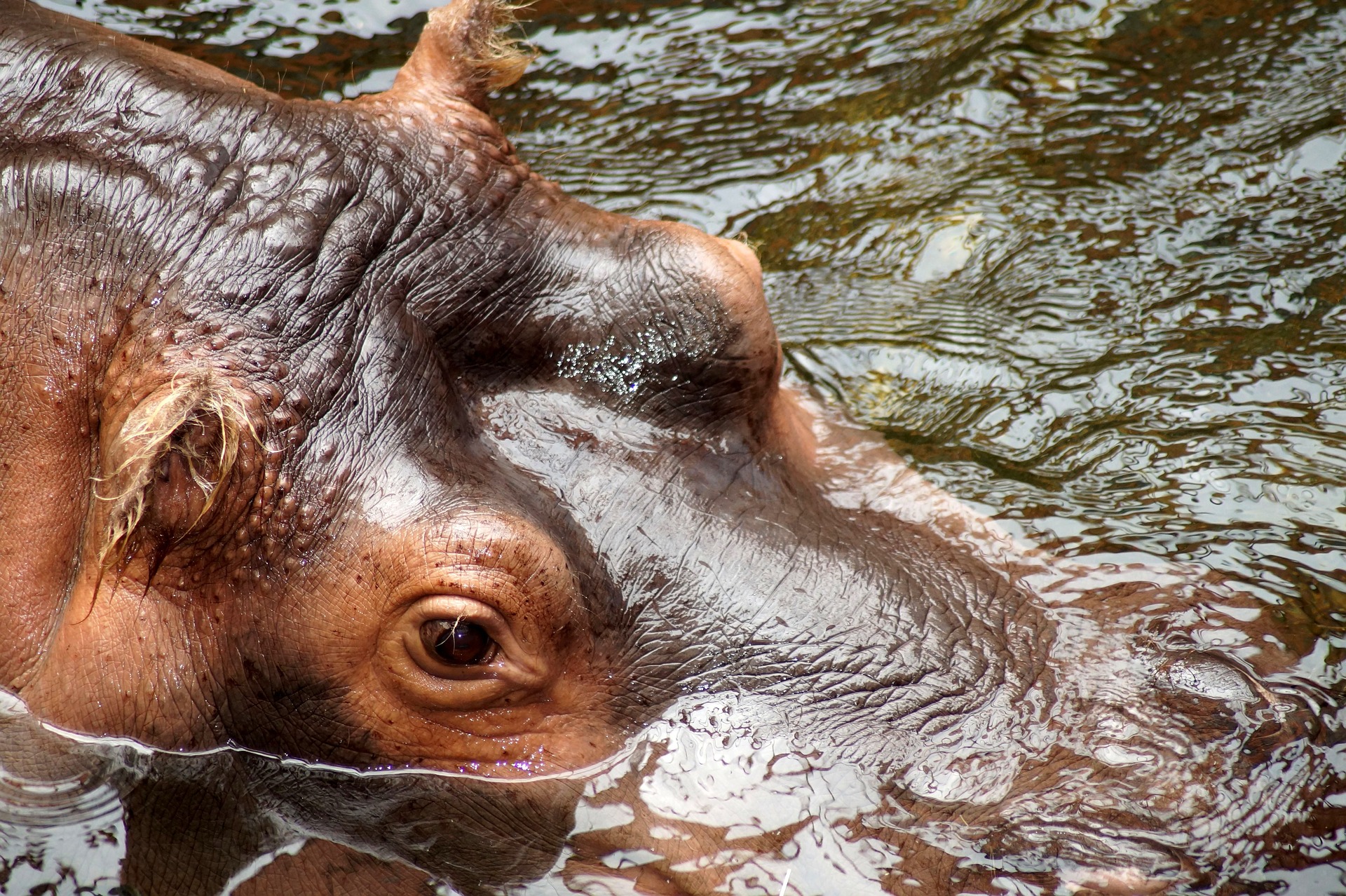 Lake Naivasha safari destination