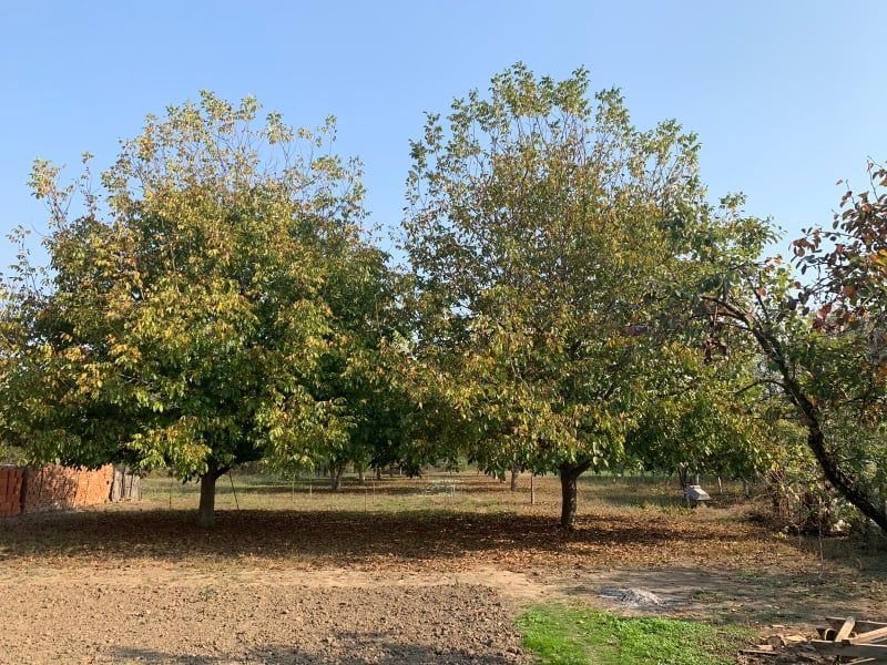 Prodaja kuce sa zemljistem 5