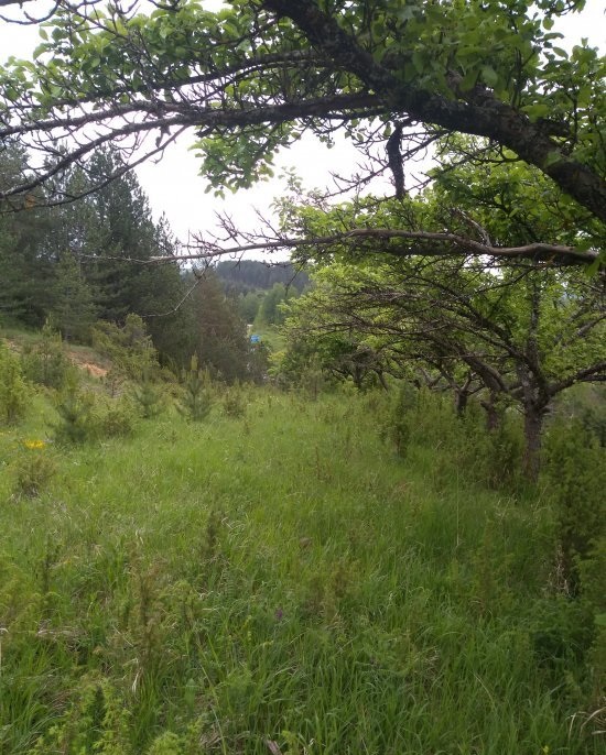 Zemljiste 46ari sa objektom 3