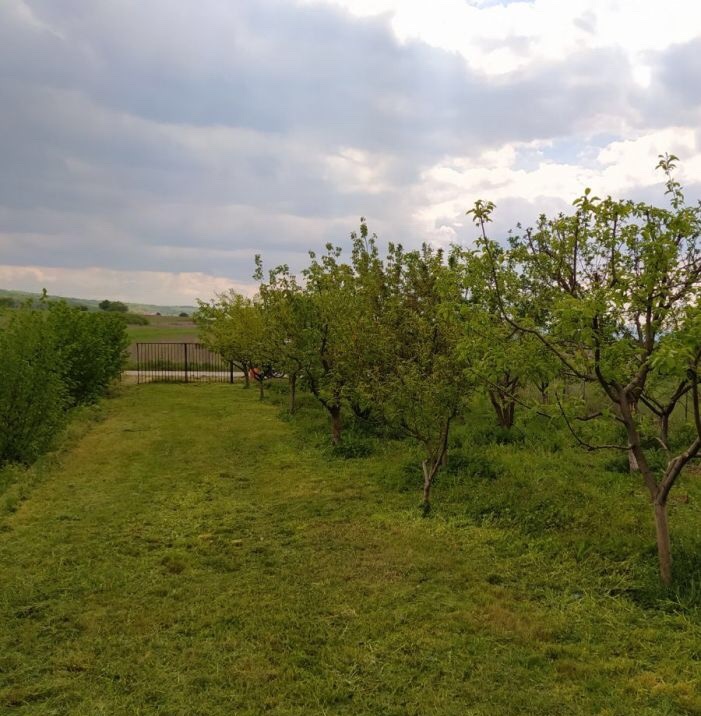 Prodajem kompletno seosko domacinstvo 5