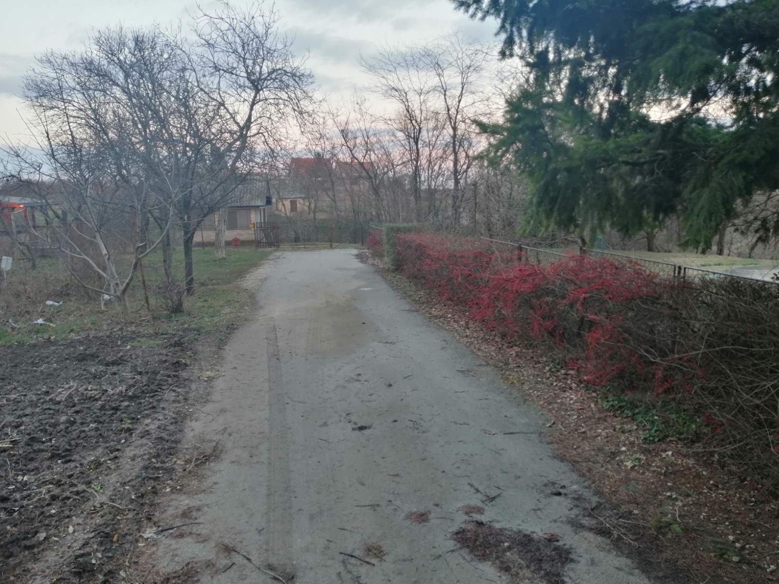 Prodajem 2 placa u Belegisu 4