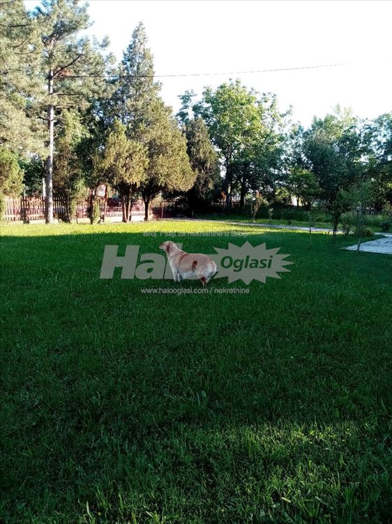 Prodaja kuce sa velikim placem 3