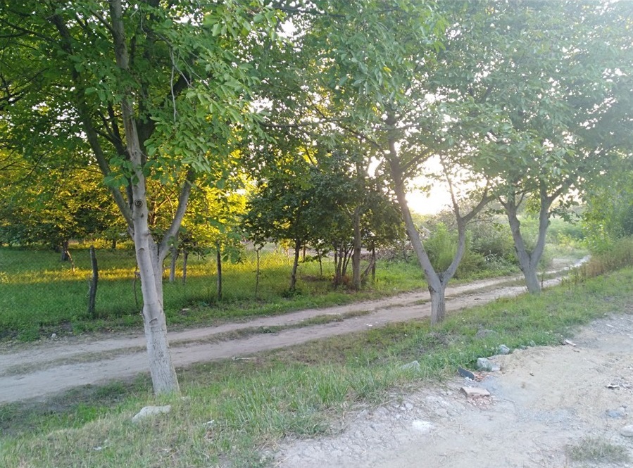 Prodajemo plac Borca  preko puta BSK stadion  2