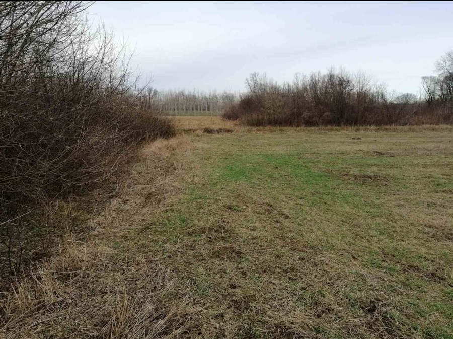 Njiva 75 ari Skela Obrenovac 1