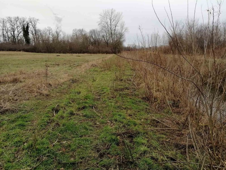 Njiva 75 ari Skela Obrenovac 2