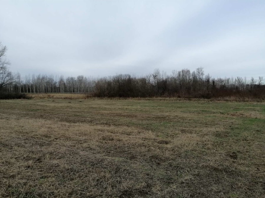 Njiva 75 ari Skela Obrenovac 3