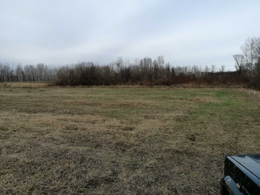 Njiva 75 ari Skela Obrenovac 4