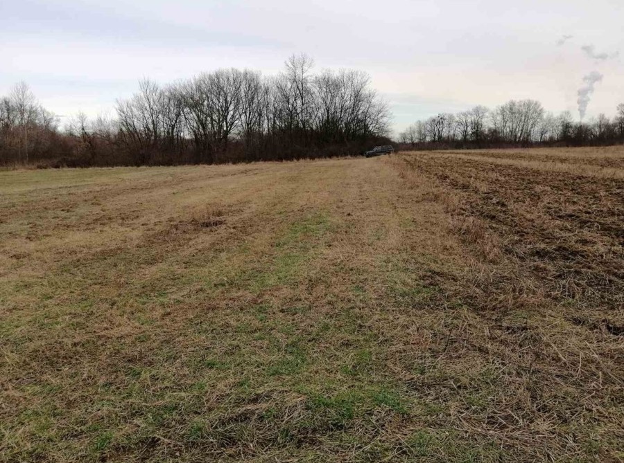 Njiva 75 ari Skela Obrenovac 5