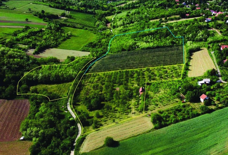 Jedinstvena ponuda prodajem organsko sertifikovano imanje 1