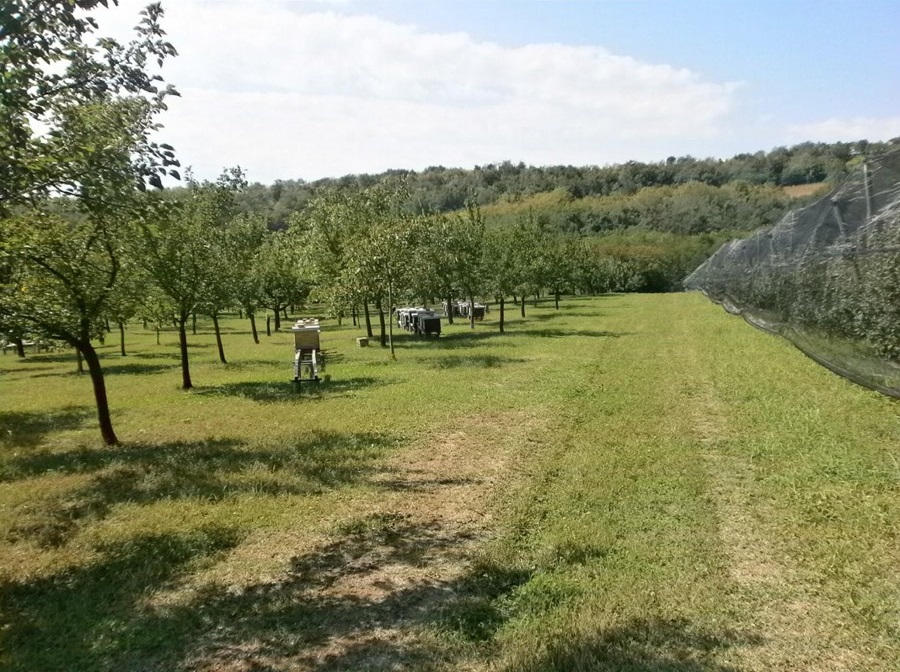 Jedinstvena ponuda prodajem organsko sertifikovano imanje 3