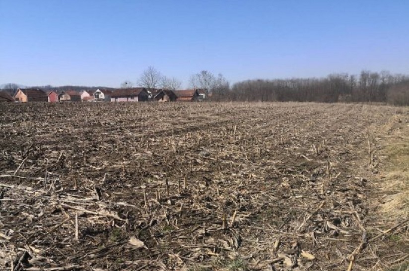 Plac Kraljevo Metikosi 4