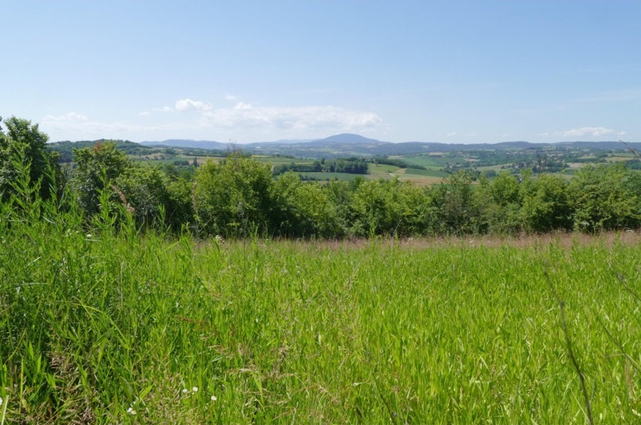 Plac na Kosmaju 15 ari 1