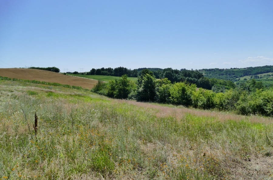 Plac na Kosmaju 15 ari 3