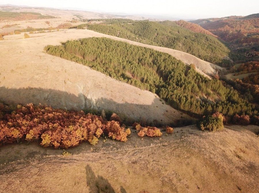 Placevi Tometino Polje Divcibare 5