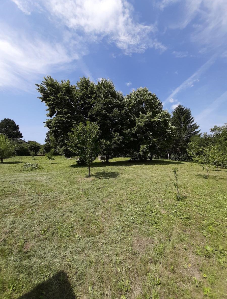 Plac na Fruskoj Gori Lezimir 4