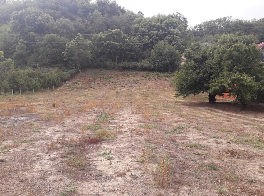 Plac Smederevo Jugovo 34 ara 2