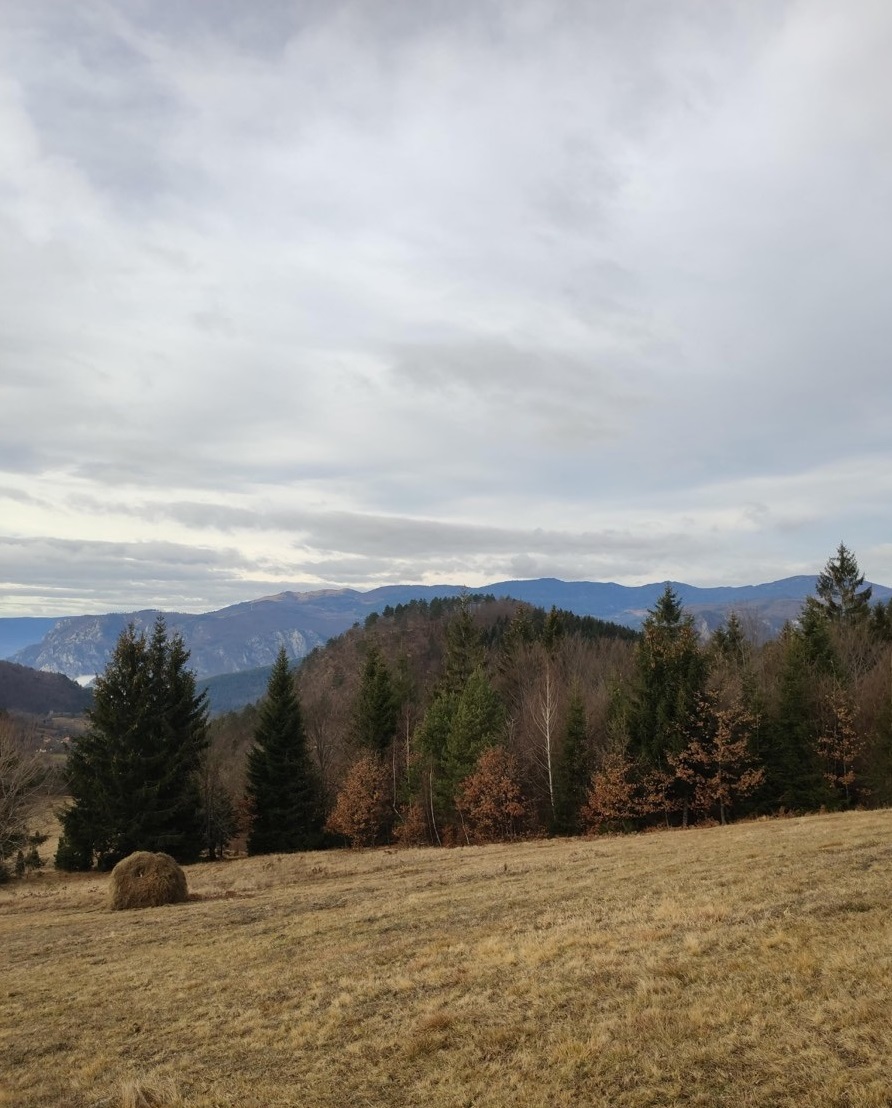 Tara Jagoštica Predov krst 1